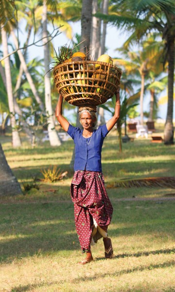 Marari Beach Resort har fokus på bærekraftig turisme. Det betyr at hver kokosnøtt utnyttes for det den er verdt, som mat og brennstoff. FOTO: RUNAR LARSEN