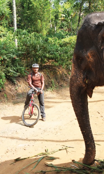 Wayanad er Keralas minst kjente distrikt, og har en mystisk aura. Hit kommer du for å sykle blant elefanter og teplantasjer i en sparsomt utbygd region. FOTO: RUNAR LARSEN