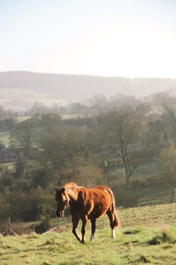 Cotswolds har ikke bare flotte landsbyer. Også naturen er idyllisk, og perfekt for vandreturer. Foto: Runar Larsen