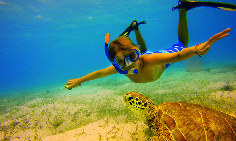 Ikke rart ungene tilbrakte seks timer i vannet hver eneste dag, når venner som dette venter der nede. Tobago Cays er skilpaddereservat og dyrene gresser rett under båten. Foto: Ronny Frimann