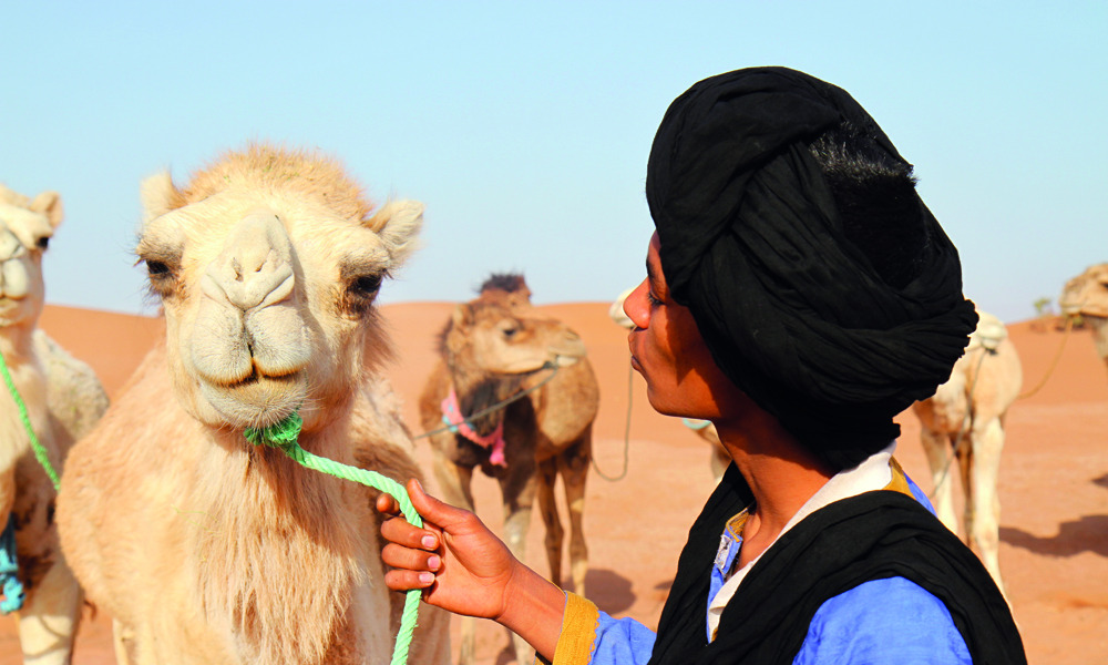 Det er lenge siden kamelkaravanene gikk fra Marokko til Mali, men ørkenens tiltrekningskraft er fortsatt like sterk. Foto: Runar Larsen