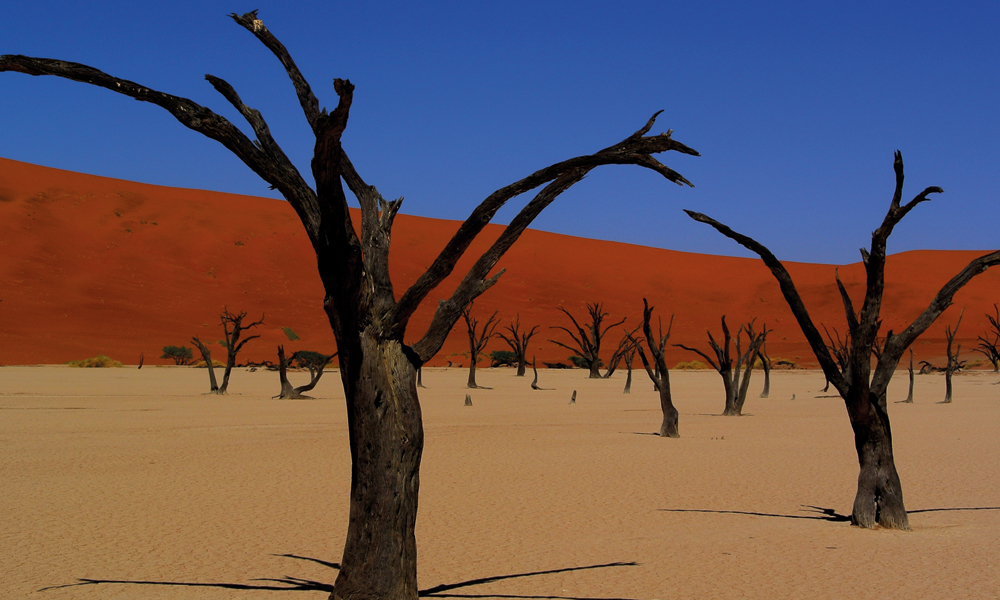 Den spesielle ørkenen er en drøm for alle som liker å reise med kamera rundt halsen. Foto: Hans Thomas Holm
