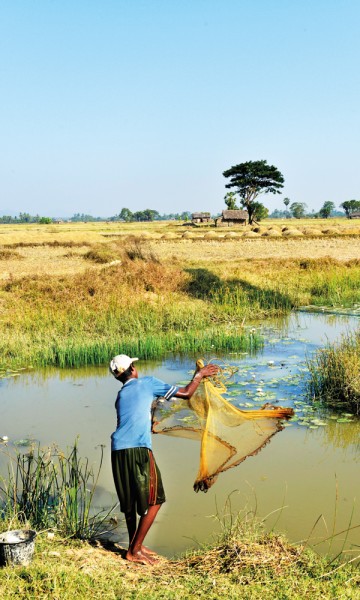 Fangsten er liten, men en skinnende fisk eller to ligger i garnet etter stort sett hvert kast. Foto: Gjermund Glesnes