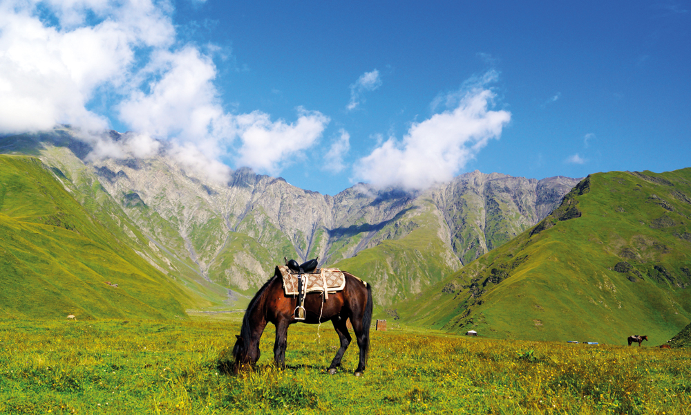 Finnes det en vakrere plass å beite på enn omringet av de vakre Tusheti-fjellene? Foto: Jorunn Elise Østbø
