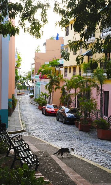 Gamlebyen i hovedstaden San Juan er definitivt et stopp man ikke må gå glipp av. De over 400 fargerike, nå litt falmede, kolonobygningene skaper en vakker ramme rundt brosteinsbelagte gater og vakre butikker. Foto: Torild Moland