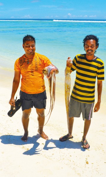 Det finnes ca. 1000 ulike fiskesorter ved Maldivene, og fiske er en av øyrikets mest populære aktiviteter. Metodene og tidspunkt varierer etter hvilken art man skal ha. Disse blekksprutene ble fanget ute ved revkanten. Foto: Yvonne Melby Schulze