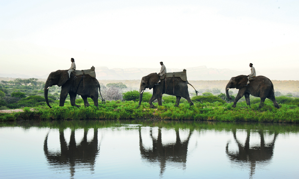 – Jeg elsker å jobbe med elefantene, det virker som de forstår meg bedre enn mennesker, mener elefantpasser Tigere Matipedza. Foto: Ronny Frimann