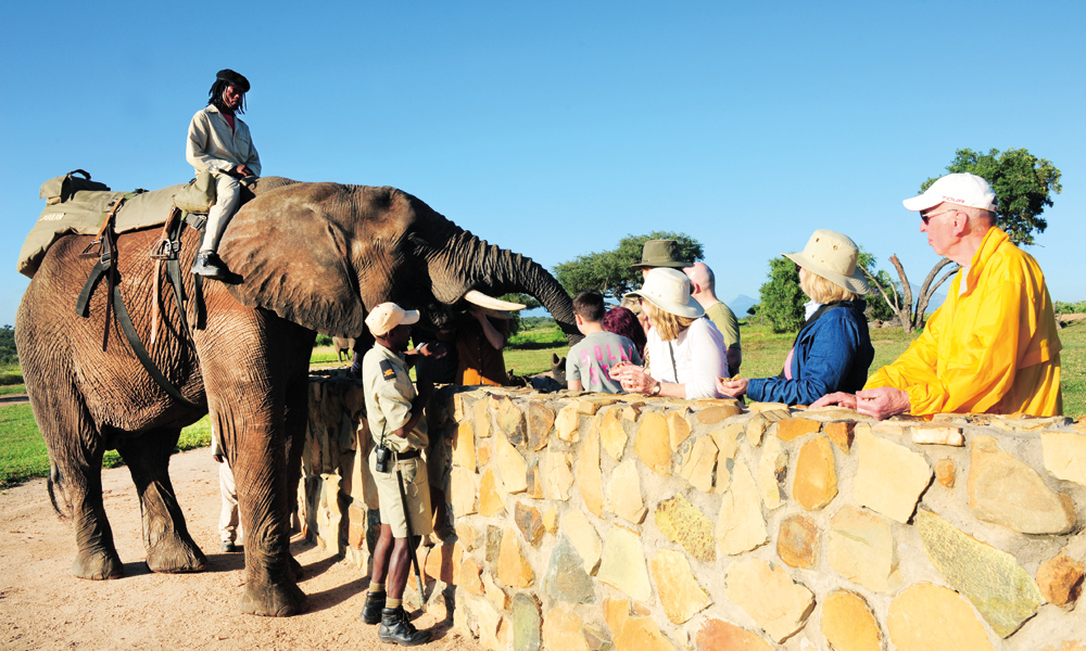 Nesten hver dag møter Jabulani nye mennesker. Først viser han og Tigere dem noen triks og hilser på, siden går ferden ut på safari i bushen. Foto: Ronny Frimann