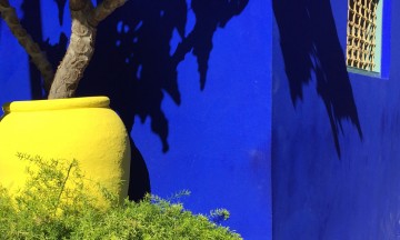 Hagen som Yves Sain-Laurent reddet og videreutviklet. Det sies at han hentet mye inspirasjon fra denne hagen. Foto: Pia Walker