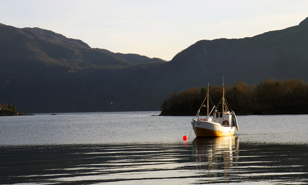 Storfjorden trenger inn i landet, og blir blant annet til berømte Geirangerfjorden. Foto: Runar Larsen