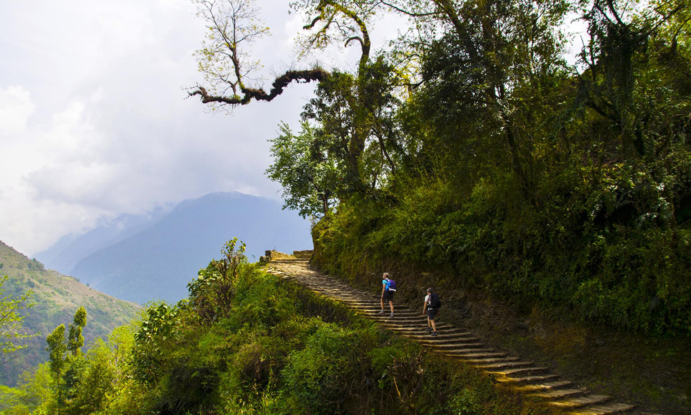 På veien opp til den sjarmerende landsbyen Ghandruk med spennende historie og imponerende utsikt mot Annapurna. Hele turen kan du lese om i magasinet. Foto: Mari Bareksten