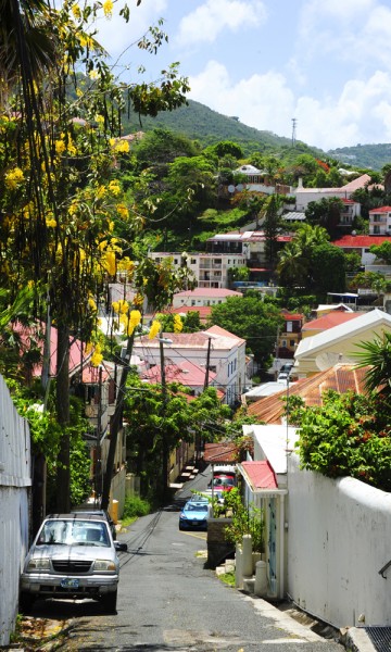 Ikke alle verdens hovedsteder er like innbydende som Charlotte Amalie, sm er finest litt vekk fra sentrum der cruiseturistene tråkker. Foto: Torild Moland
