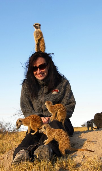 Surikatten er ikke et beskjedent dyr, og vil mer enn gjerne hilse på. Foto: Torild Moland