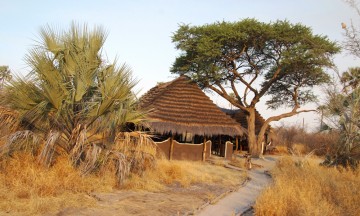 Camp Kalahari er et av tre overnattingsalternativ i Makgadikgadi, og har fast morgenbesøk av surikatene. Foto: Torild Moland
