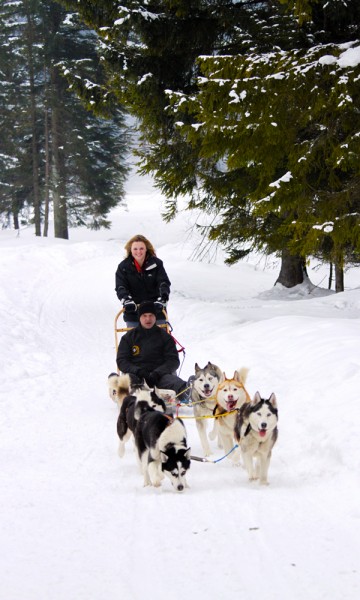 Hundekjøring i Tara nasjonalpark er et fint alternativ til fartsfylte dager i skibakken. Foto: Runar Larsen