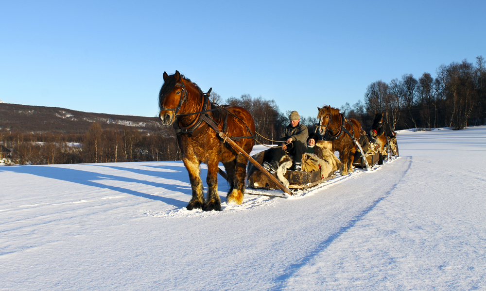 Kusk Ole Peder Svendsen og hesten Bronen viser vei på de gamle vinterveiene over vidda. Foto: Ida Anett Danielsen