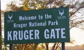 Krugerparken har 850 kilometer med asfalterte veier, 1444 kilometer grusveier og 4200 rømningsveier, som gjør den perfekt å utforske på egenhånd. Foto: Torild Moland