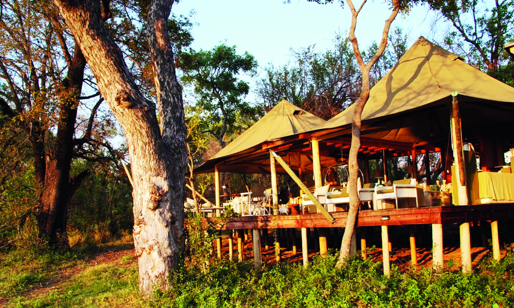 Resorten Xaranna ligger idyllisk til på tørt land inne i Okavangodeltaet. Foto: Torild Moland