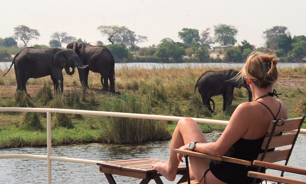 Kan man egentlig få en bedre safari? Sol, varme, en kald drink og livet passerer forbi. Foto: Ronny Frimann
