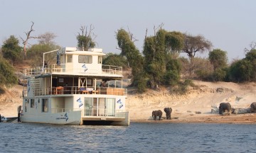 Husbåt er absolutt beste måten å oppleve dyrelivet langs Chobe-elven. Foto: Ronny Frimann