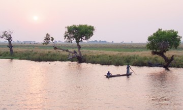 Langs hele Chobe-elven venter spennende ting som må oppleves – både fra avstand og nærme. Foto: Ronny Frimann