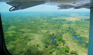 Flyplassen i Maun er en av verdens travleste, for småfly er eneste alternativ for å nå mange av de avsidesliggende lodgene i Botswana. Foto: Ronny Frimann