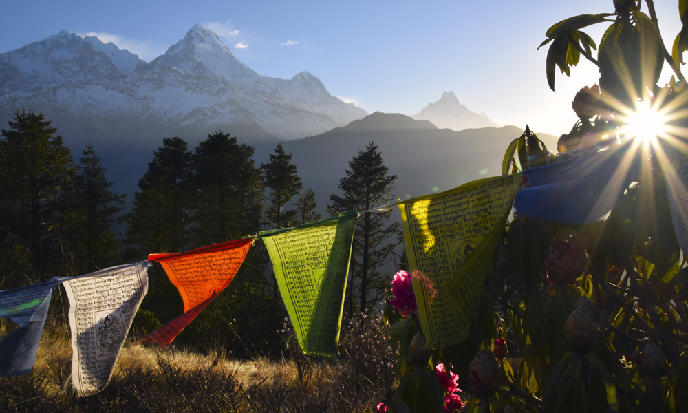 Flere steder ser vi de fargerike buddhistiske bønneflaggene vaie i vinden. Dette er utsikten som venter om man kommer seg til Poon Hill i soloppgang. Foto: Mari Bareksten