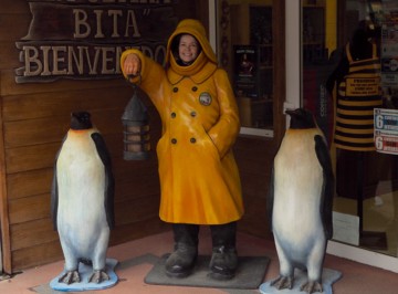 Møtte ikke keiserpingvinene i Antarktis, men her i Ushuaia. Foto: Ann Kristin Balto