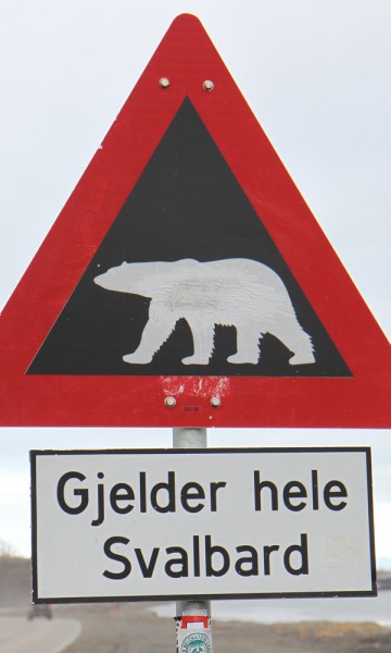 Det er ingen tvil om hvem som råder på Svalbard. Foto: Runar Larsen