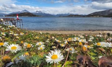 Terra del Fuego, Ildlandet lengst sør i Sør-Amerika. Foto: Ann Kristin Balto / Testpanelet