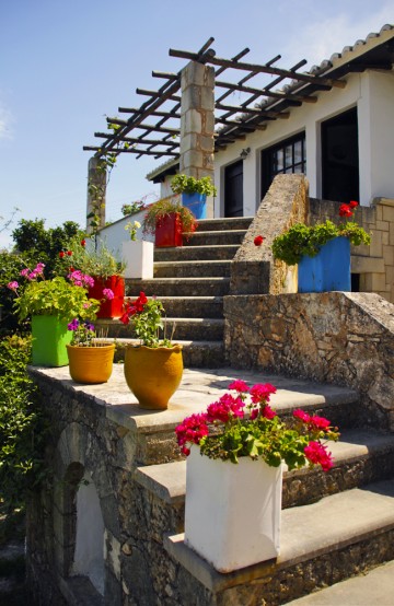 Vakre farger og blomster – kjennetegn på våren på Kreta. Foto: Kjersti Vangerud