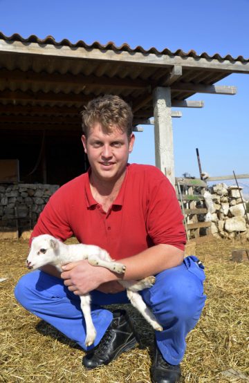 Sauebonden Toni Paro passer godt på sine små lam – de er gull verdt. Foto: Marte Veimo