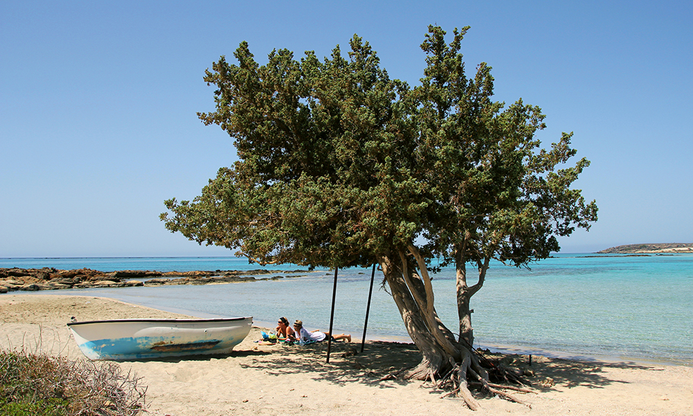Populære Kreta er en av destinasjonene hvor det fortsatt er en del ledig, til gode priser. Her får en hel familie på fire fortsatt en ukes ferie inkludert fly og hotell for under 15.000 kroner midt i sommerferien. Foto: Kjersti Vangerud