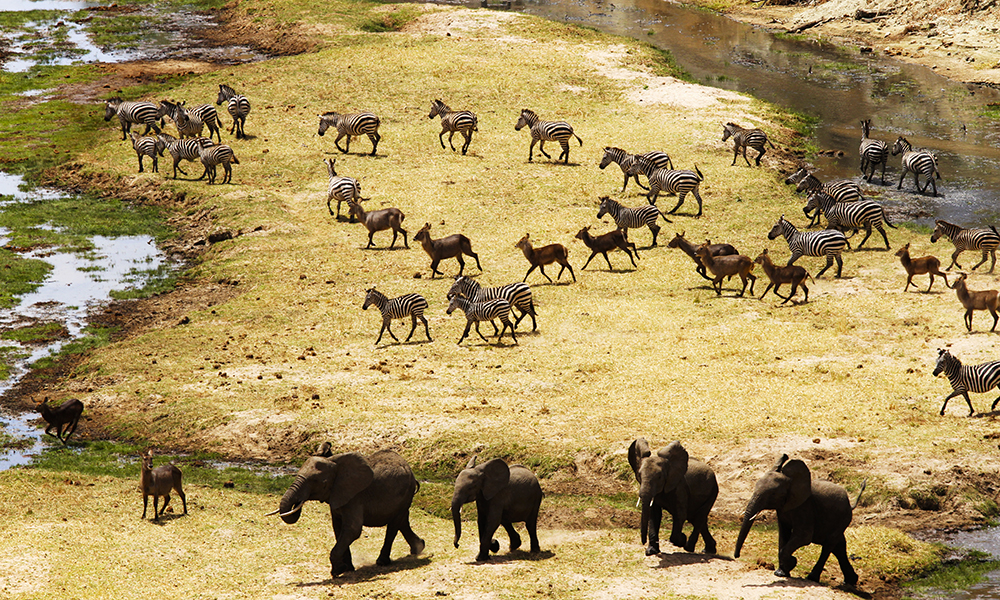 Ngorongoro er Tanzanias aller mest populære steder for safari. Foto: Runar Larsen