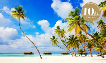 banner web -julikalender