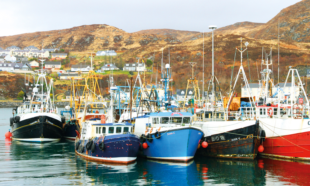 Vel fremme i Mallaig er det som å være i en liten norsk vestlandsby hvor fiske er den store industrien. Herfra går det ferger videre ut til Hebridene. Foto: RUNAR LARSEN