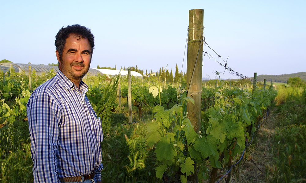 Carlos Feliu eier fincaen ved samme navn, Can Feliu, hvor han dyrker økologiske grønnsaker og vin som gjestene kan være med og produsere. Foto: Ronny Frimann