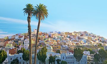 Foto: Apollo
canaria
canary
gran
islands
las
palmas
spain