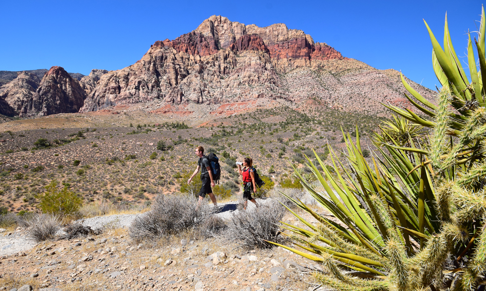 AKTIVITETSPARADIS: Det finnes et hav av aktiviteter man kan gjøre i området rundt Las Vegas, nasjonalparken Red Rock Canyon er kun 40 minutter med bil utenfor Las Vegas. Foto: Mari Bareksten 