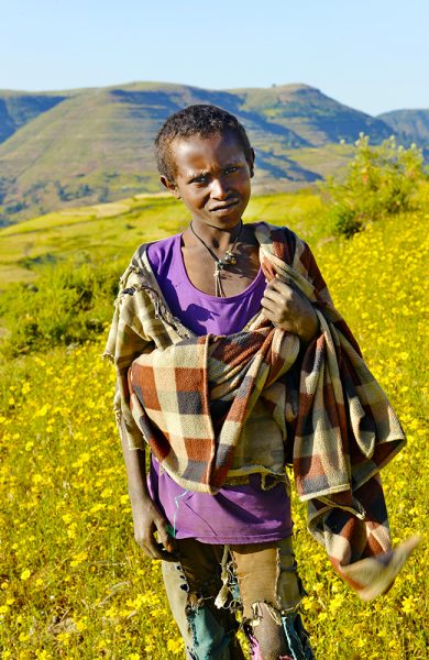 Frodige beiter og fargerike blomster er neppe det du forbinder med Etiopia. Men fattigdommen du trolig heller forbinder landet med, fins fortsatt. Foto: Gjermund Glesnes 