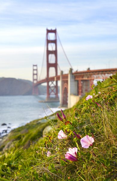 Den nesten tre kilometer lange Golden Gate Bridge har blitt selve ikonet på San Francisco. Mye på grunn av dens sigaturfarge – international orange. Foto: Torild Moland