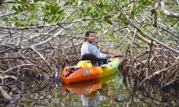 DSC_0449kajakk mangrove Big Pine Key_foto mari bareksten