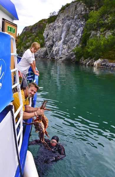 Kapteinen fungerer også som skipper, kokk, servitør – og som her – som dykker. Foto: Torild Moland 