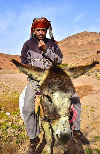 Beduiner utgjør størstedelen av Jordans befolkning, og er kjent for sin overstrømmende gjestfrihet. Og så har de tette familiebånd – dette er broren til sjefen på Feynan økolodge. Foto: Ronny Frimann 