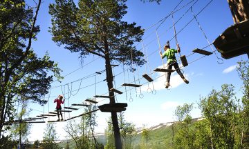 HØYDEPARKEN_Torild Moland