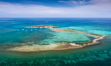 FARGER: Livet under vann rundt den gamle festningen er byr på en eksplosjon av farger. Foto: Laurence Norah/Florida Keys News Bureau