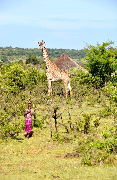 Masai Mara byr på mektige dyreopplevelser og spennende menneskemøter. Rett og slett en eventyrlig reise. Foto: Mari Bareksten