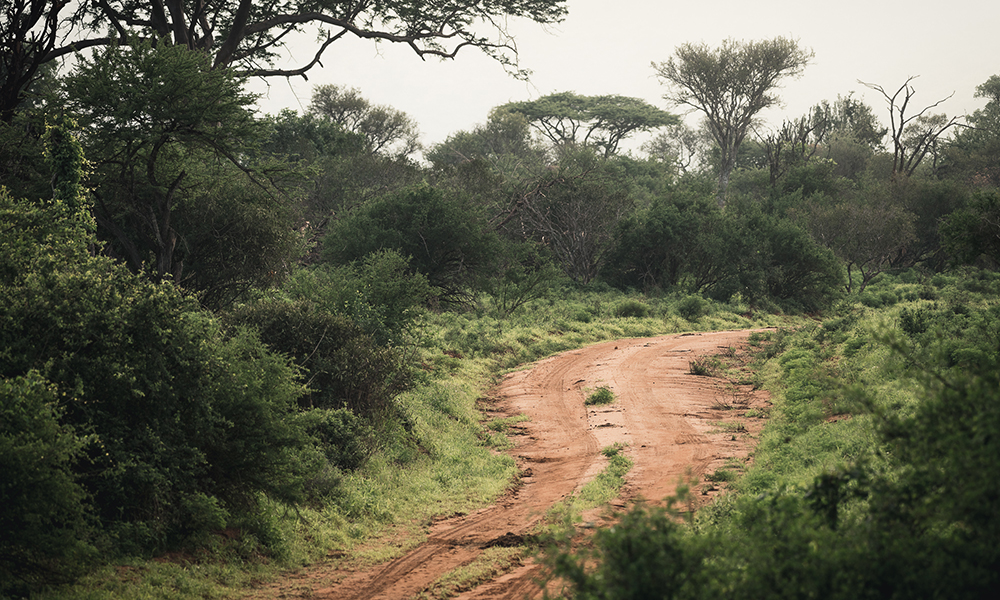 Soloppgang i Tsavo West. Foto: Stian Klo 