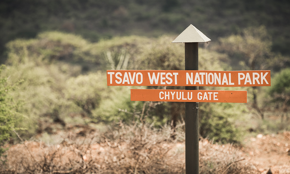 Tsavo West er nesten den rake motsetningen til flate og tørre Amboseli. Her var det grønt, frodig. Foto: Stian Klo 