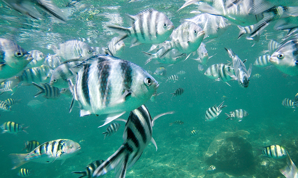 Under vann utenfor Malindi. Foto: Stian Klo 
